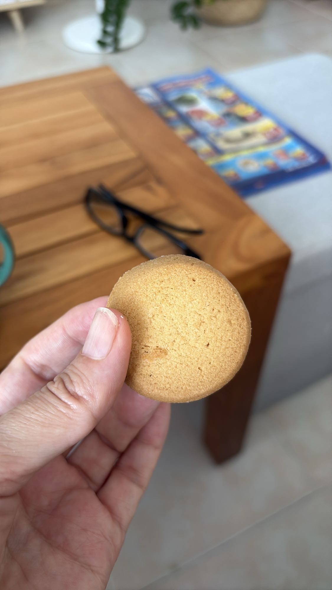 Plain Butter Cookie