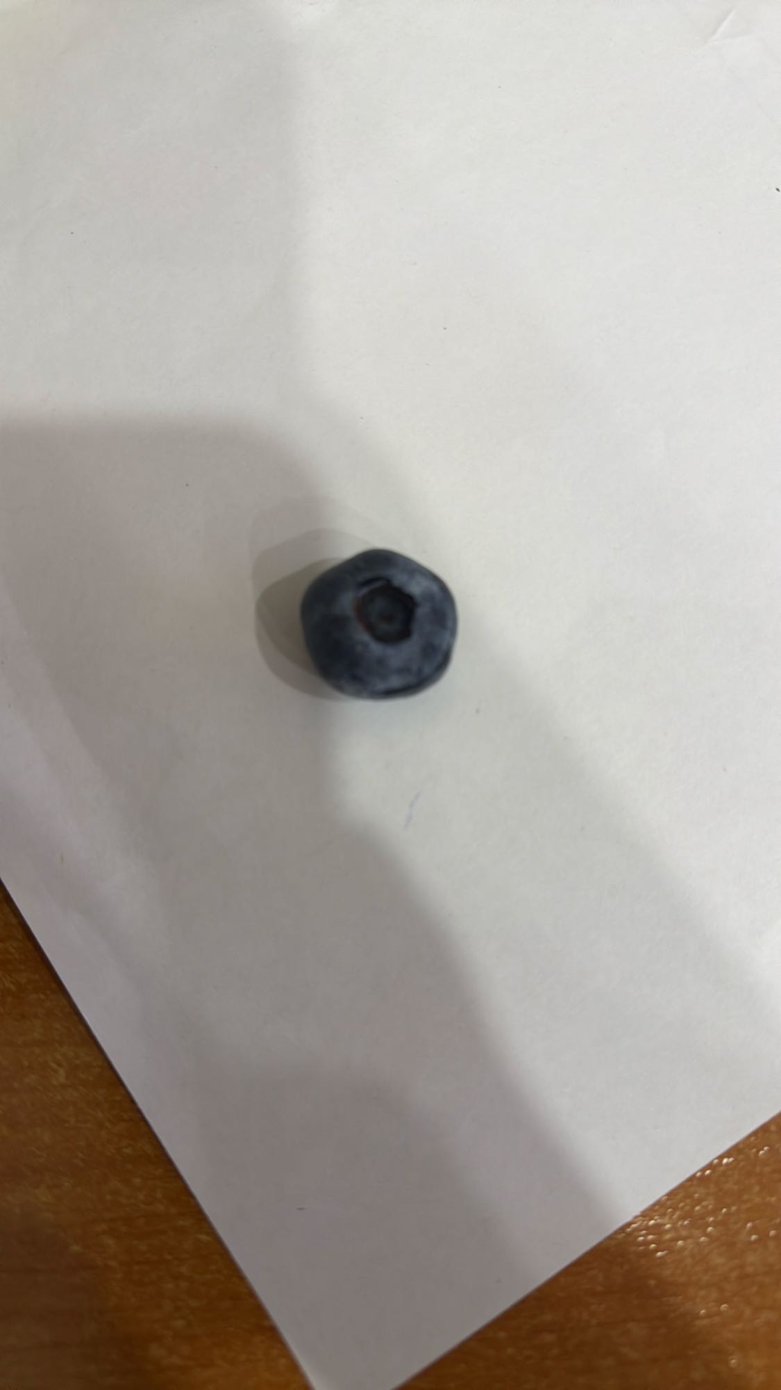 черника (1 шт)