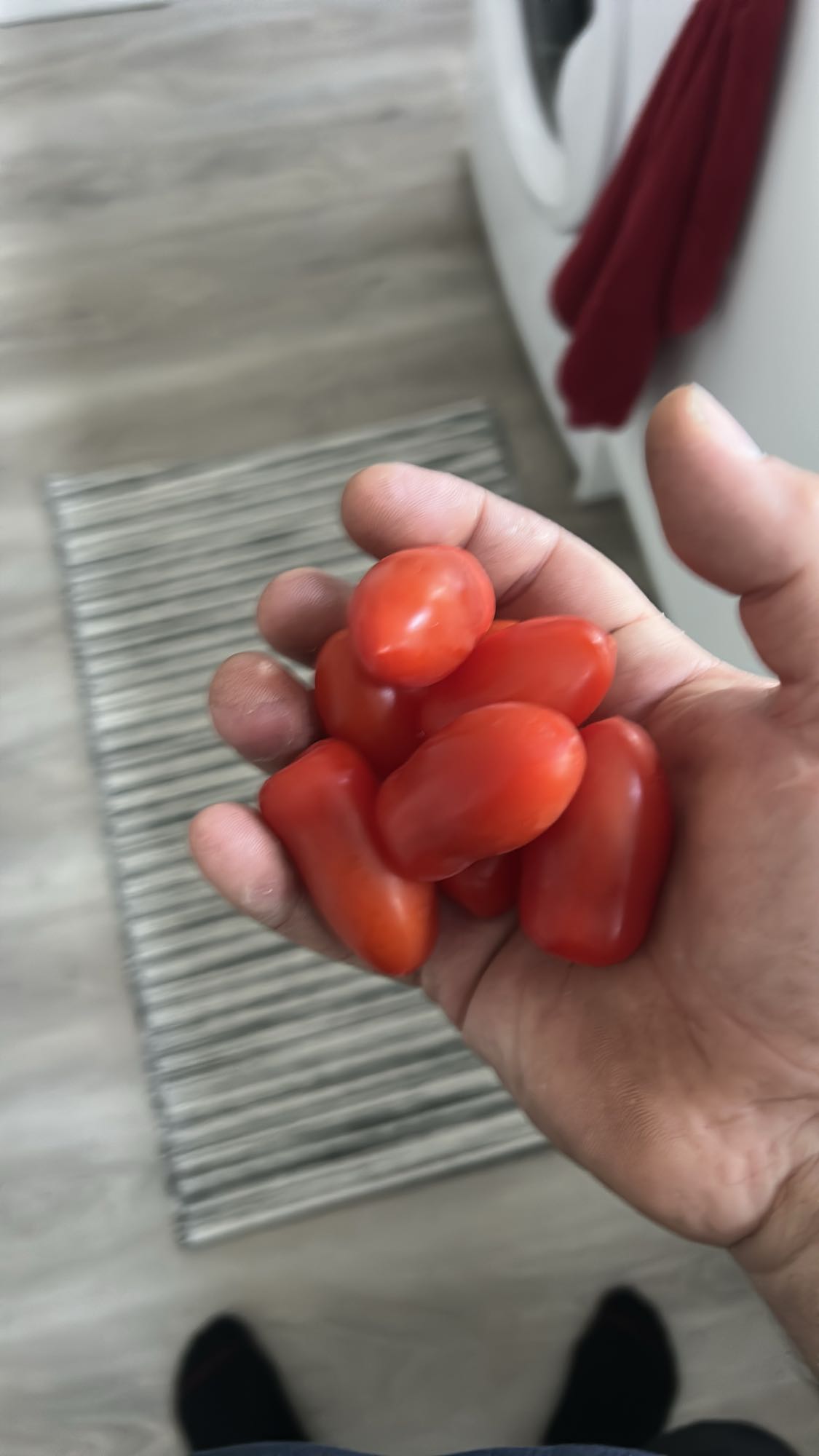 Handful of grape tomatoes