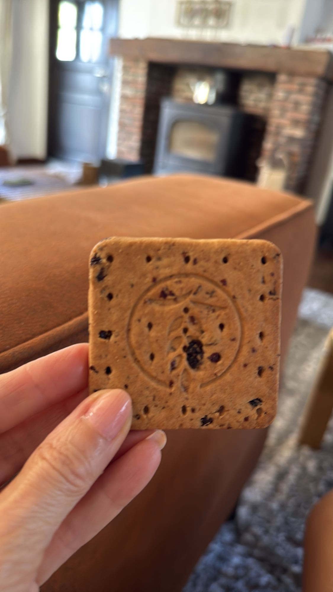 Haverkoekje met rozijnen