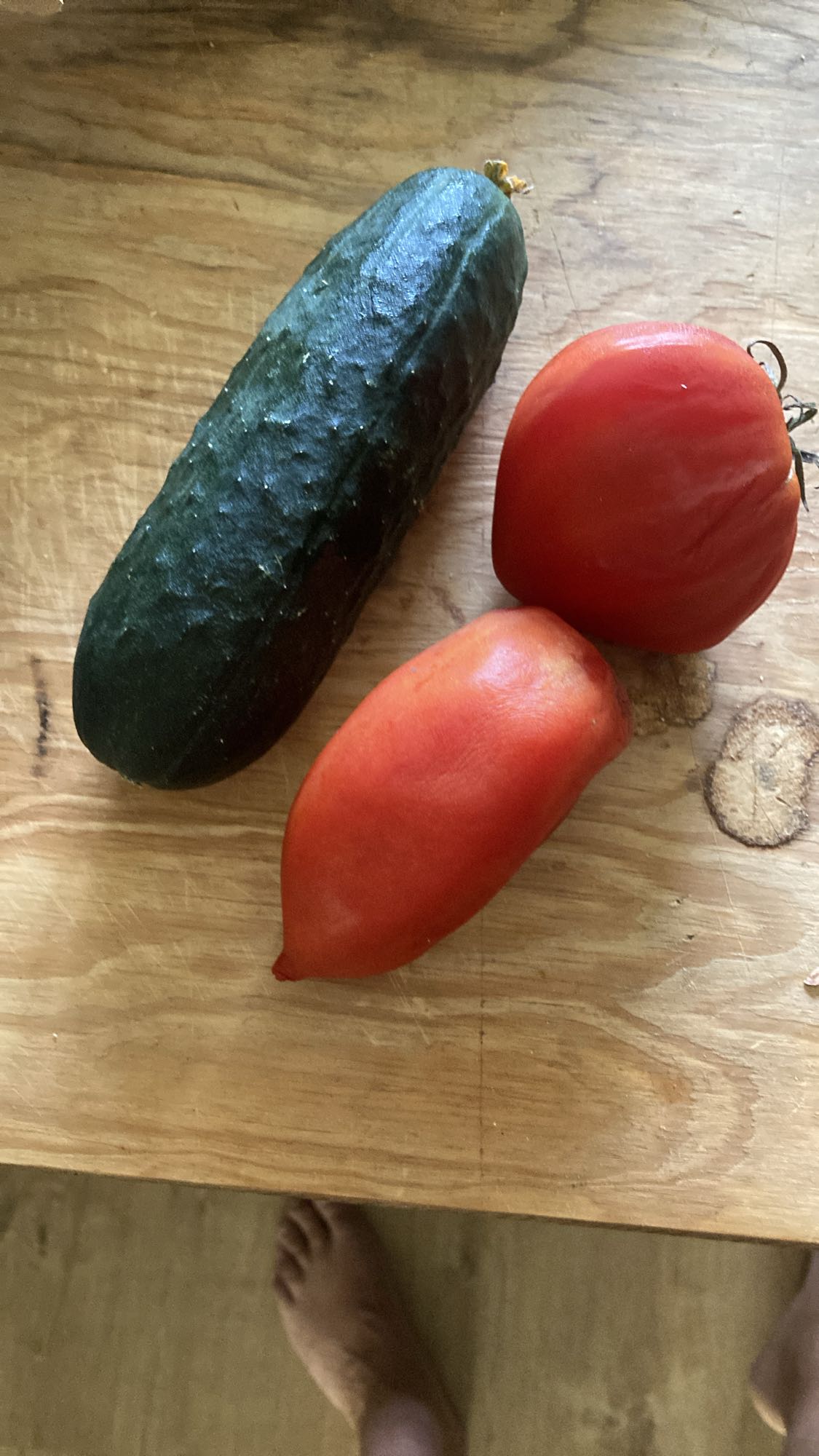 Concombre et tomates