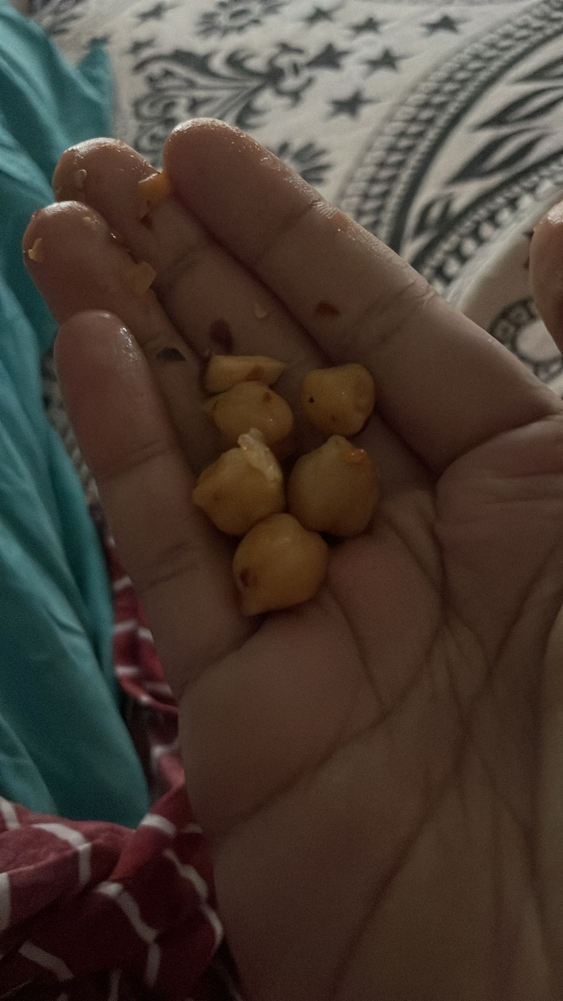 Boiled Chickpeas Snack