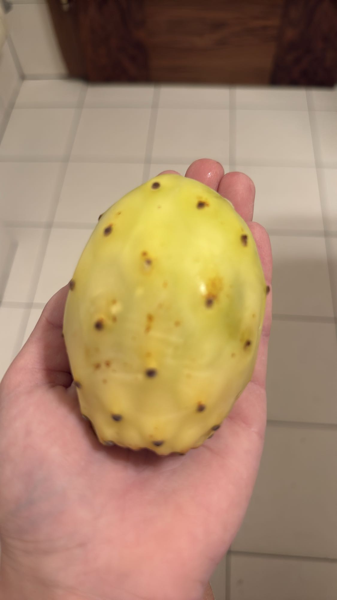 Fruct de cactus galben