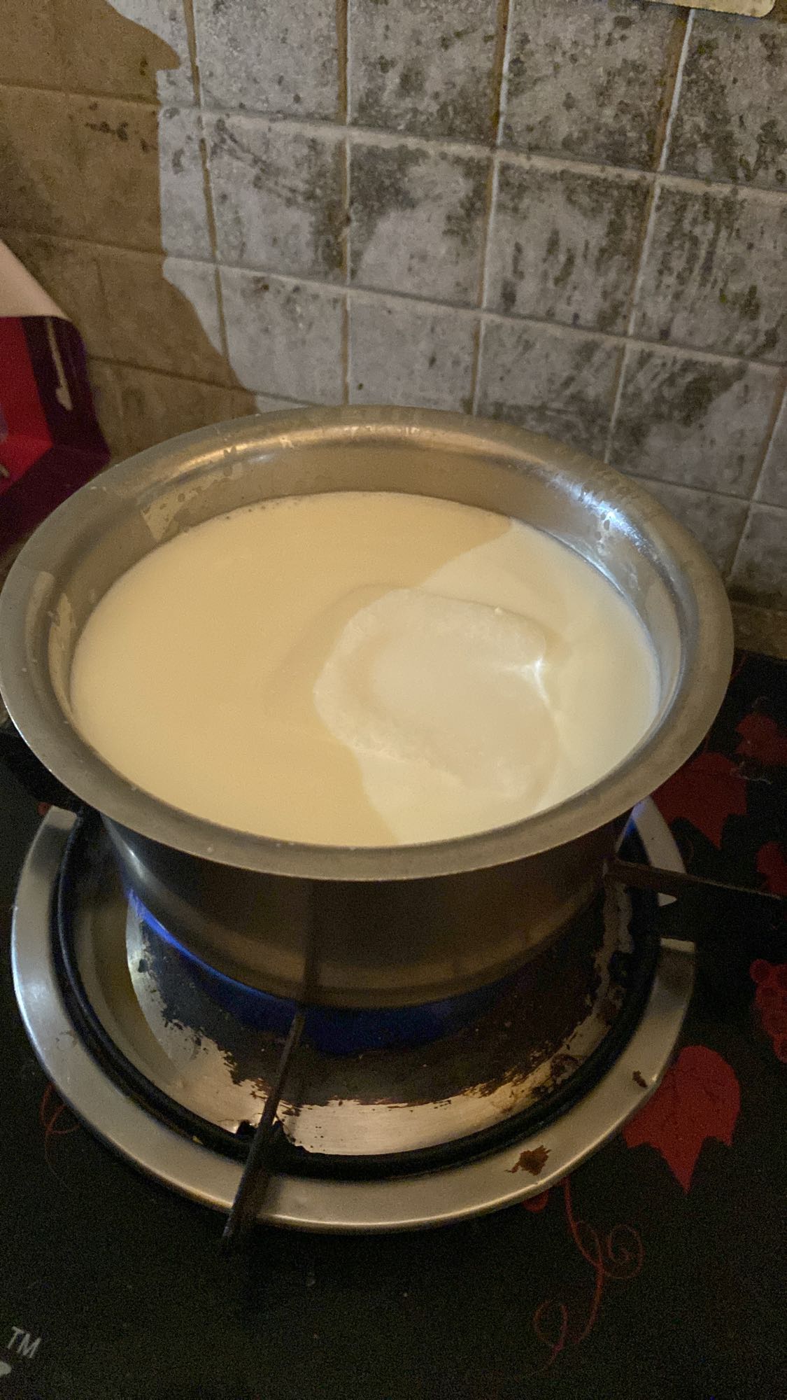 Boiled Whole Milk
