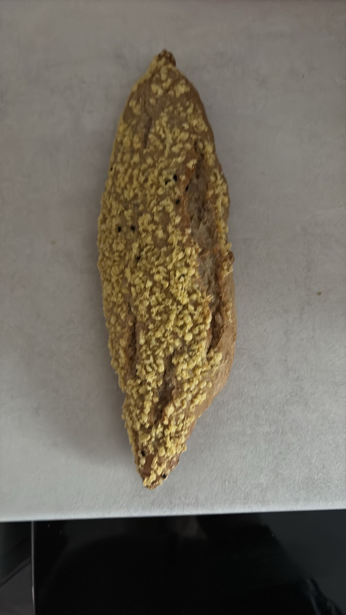 Magvas teljes kiőrlésű zsemle