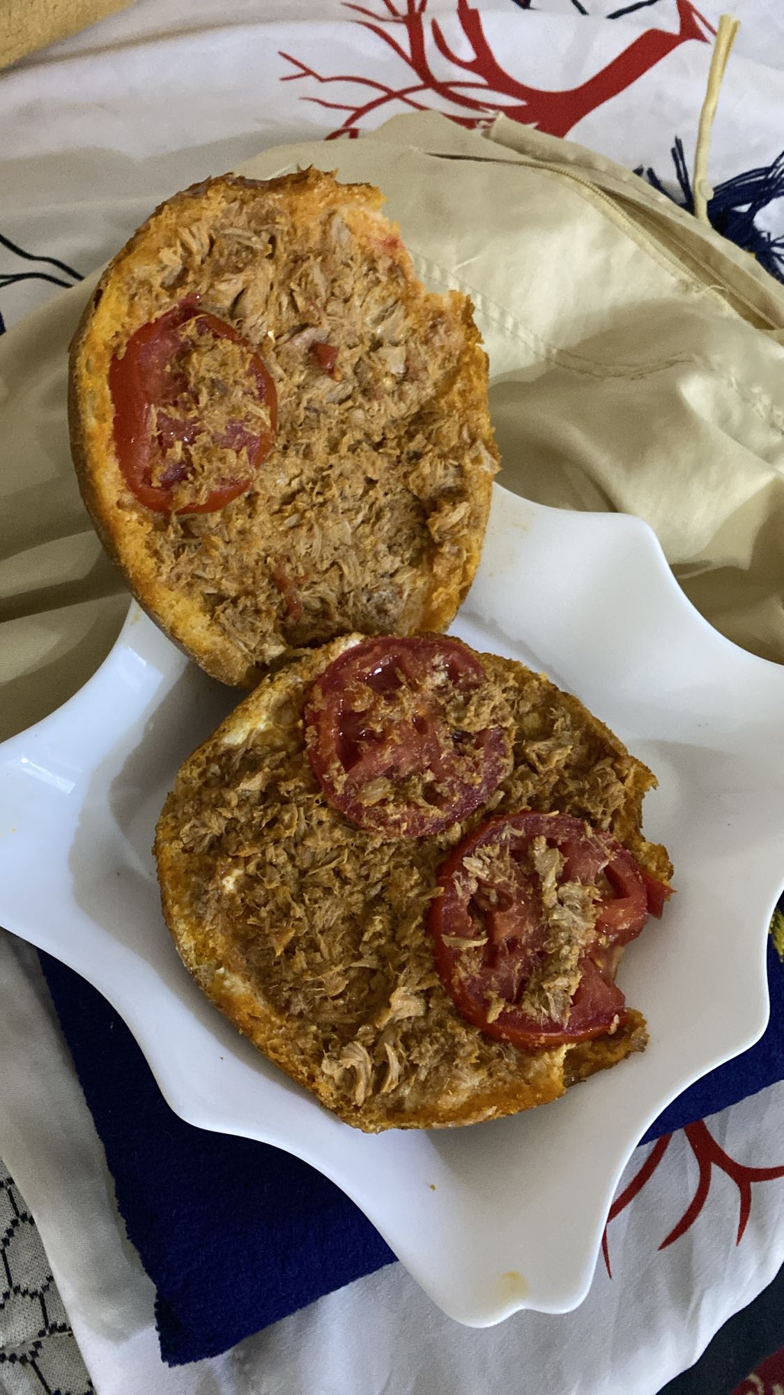 Tuna Tomato Sandwich
