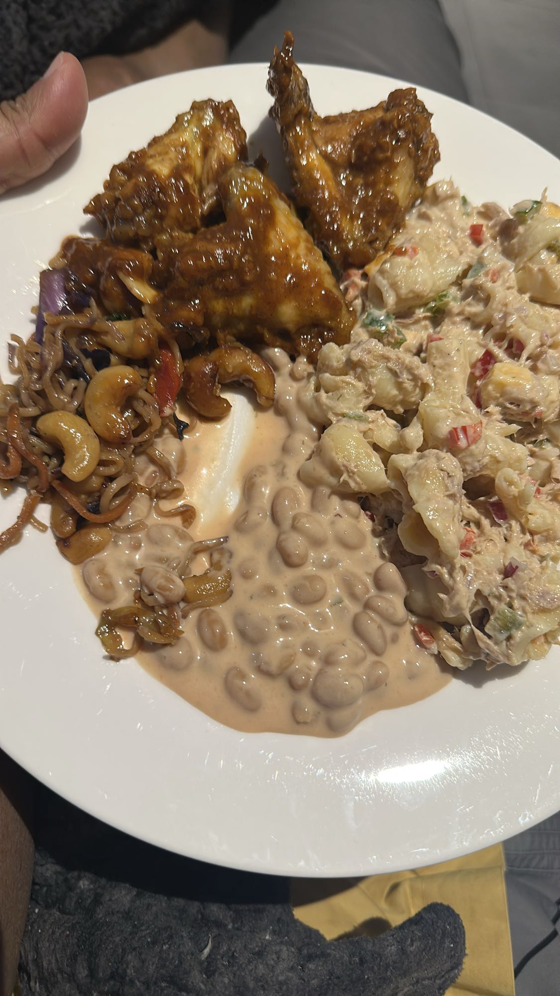 Chicken wings, beans, pasta salad
