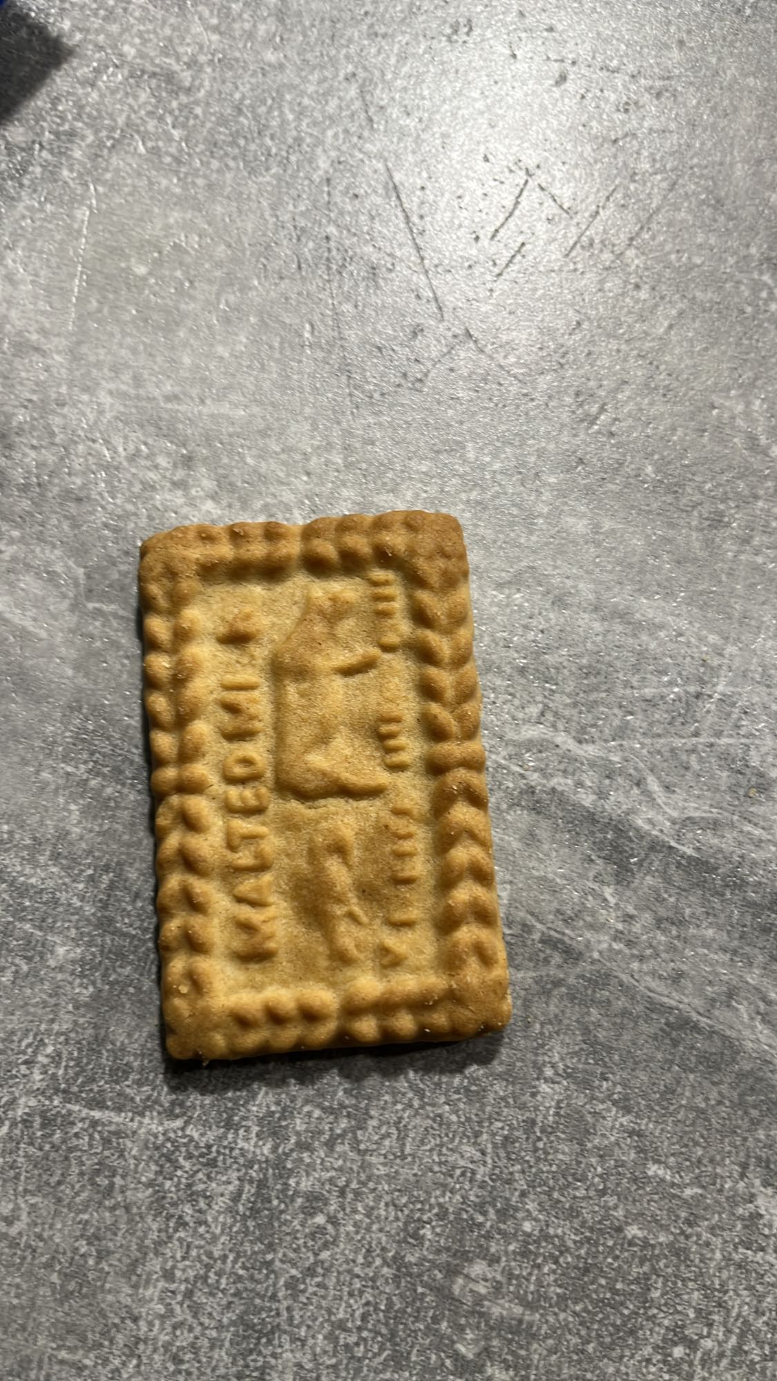 Malted milk biscuit