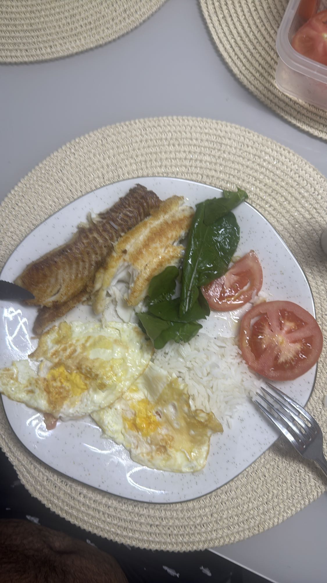Peixe, arroz, ovo e salada