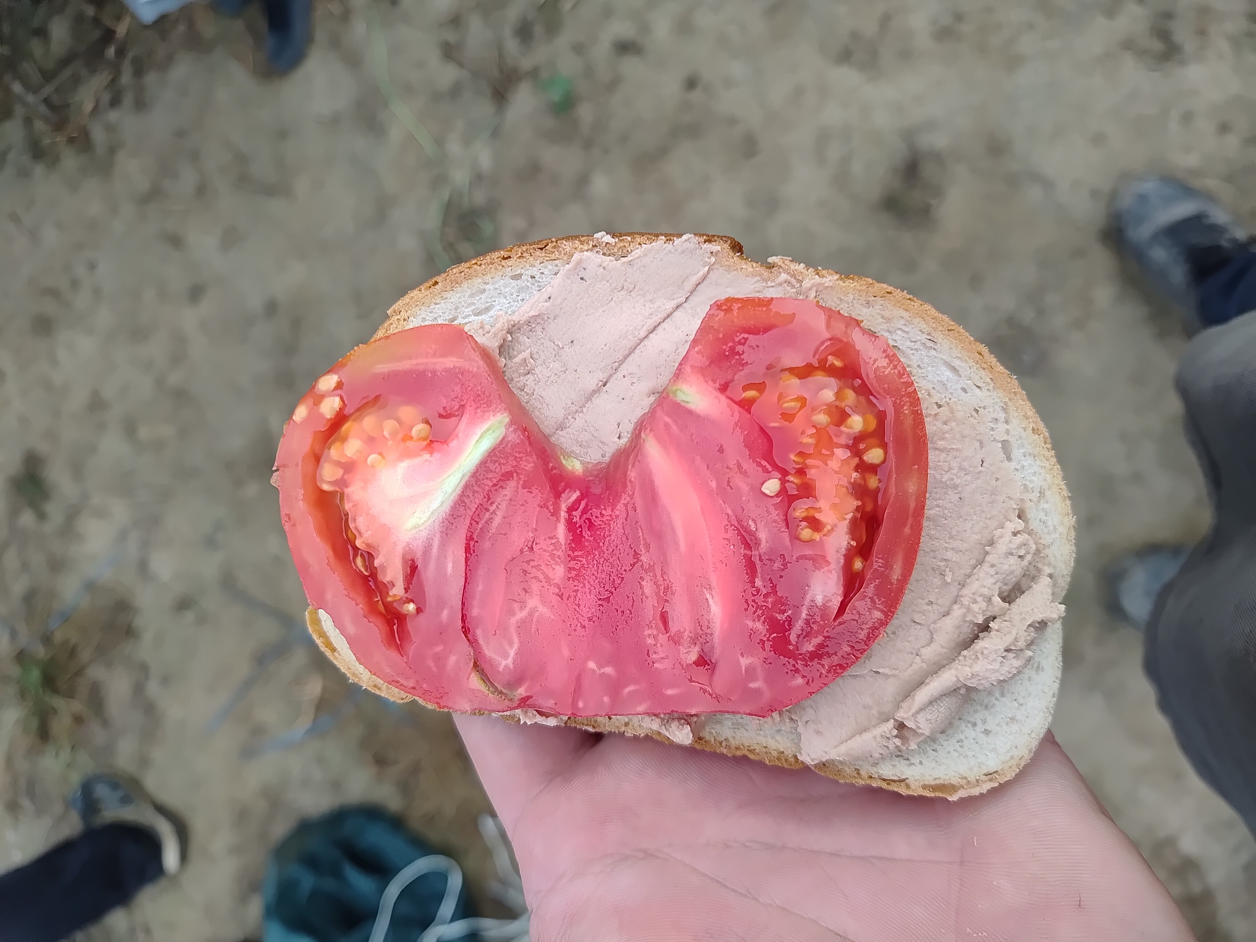 Liver Spread Sandwich
