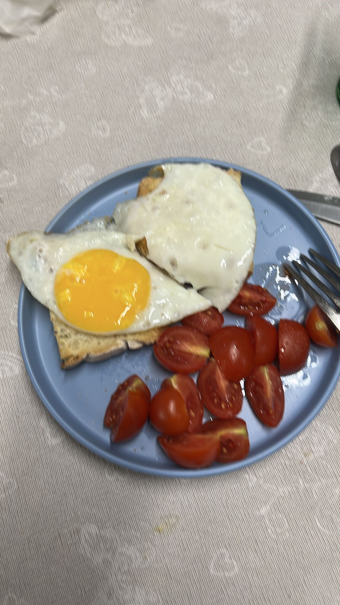 Yumurta ve domatesli tost