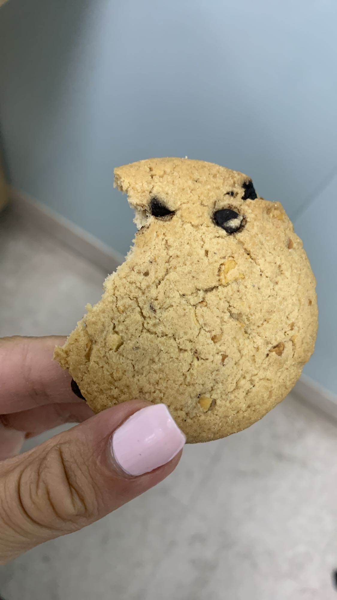 Chocolate chip cookie