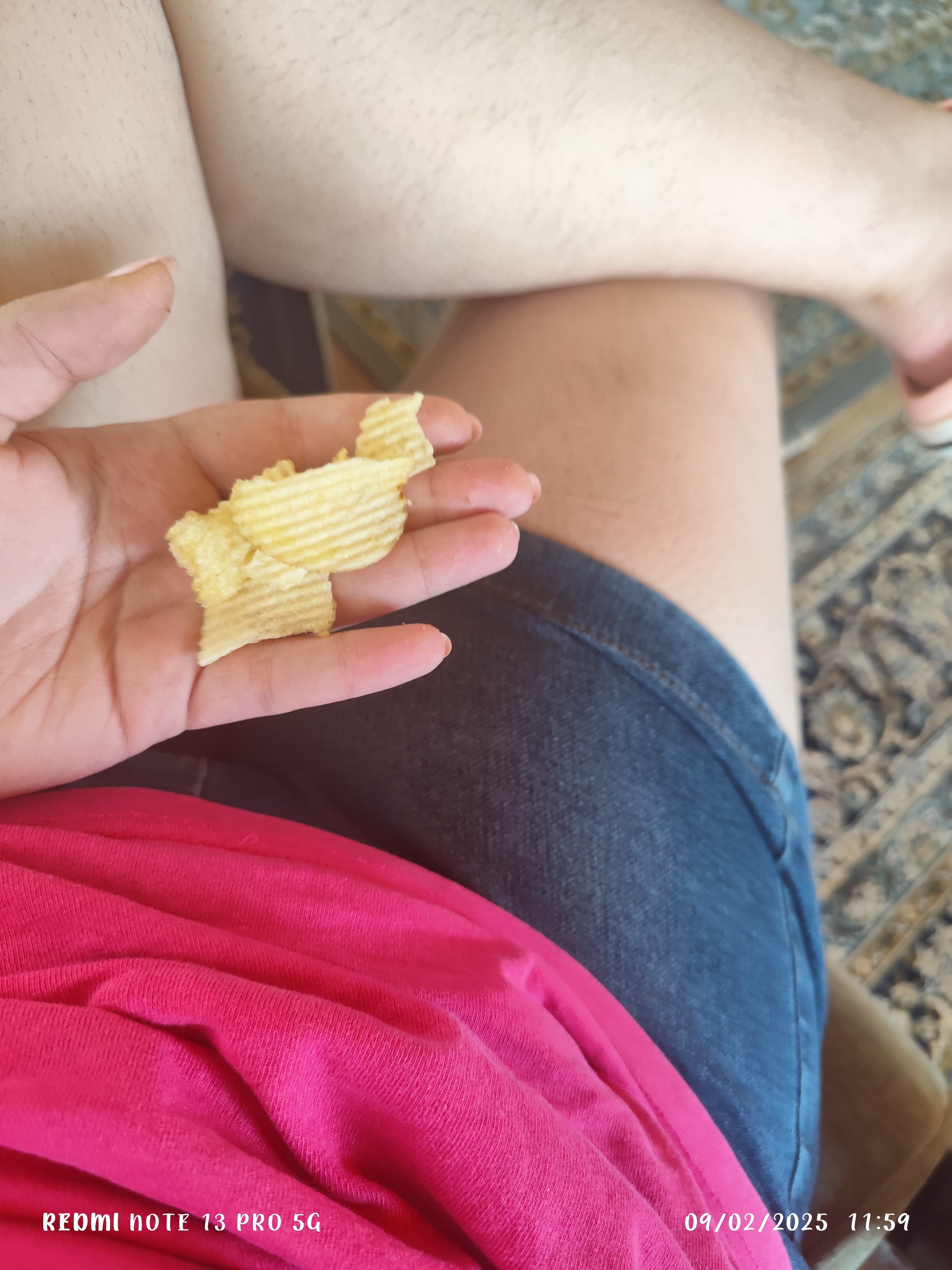 Potato Chips Snack