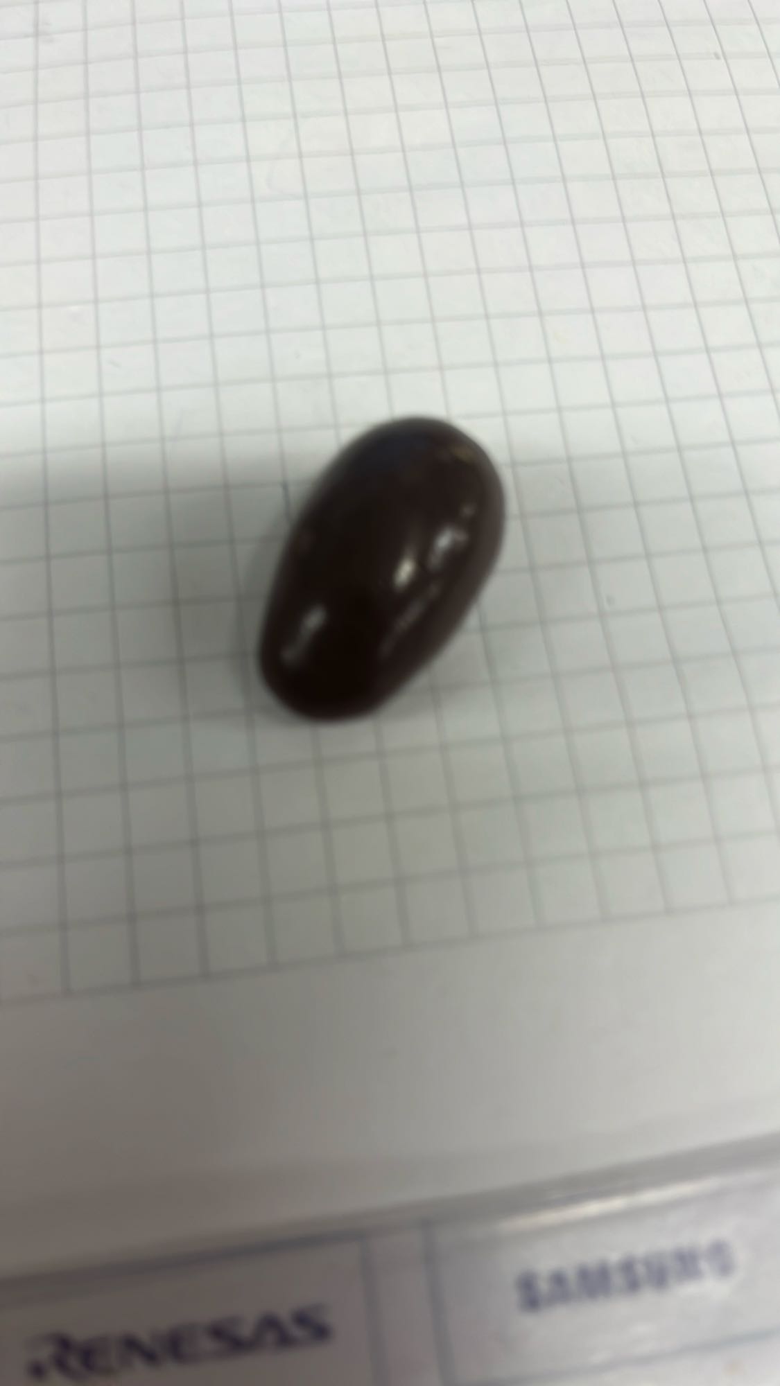 chocolade bedekte noot