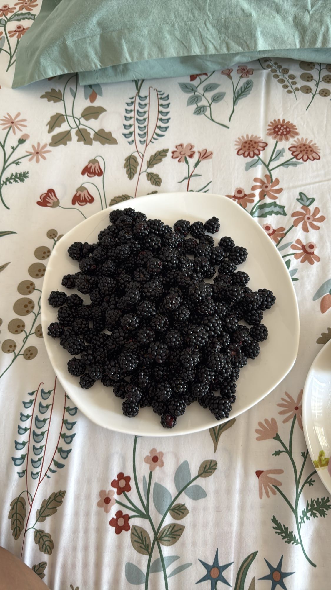 ежевика на тарелке