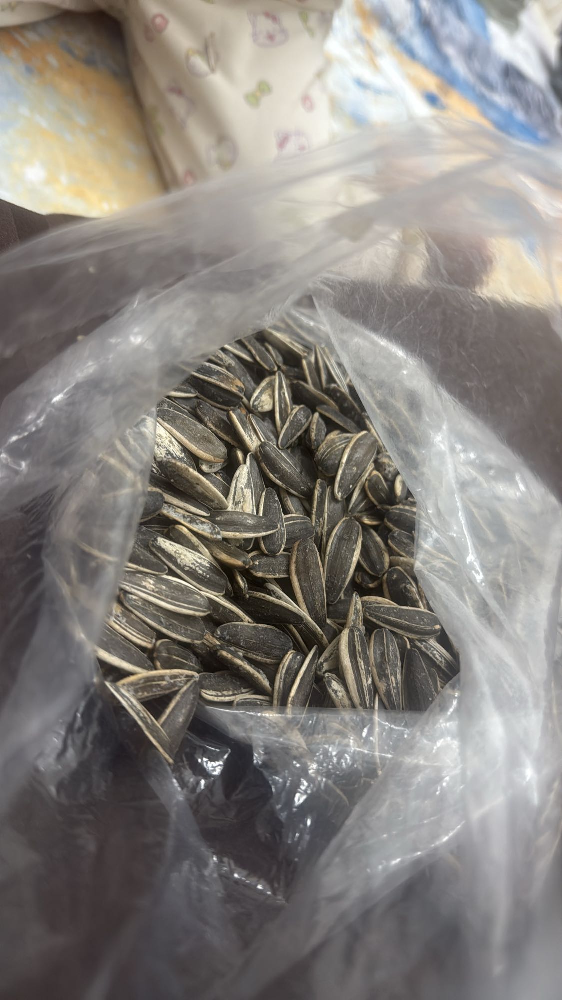 بذور دوار الشمس