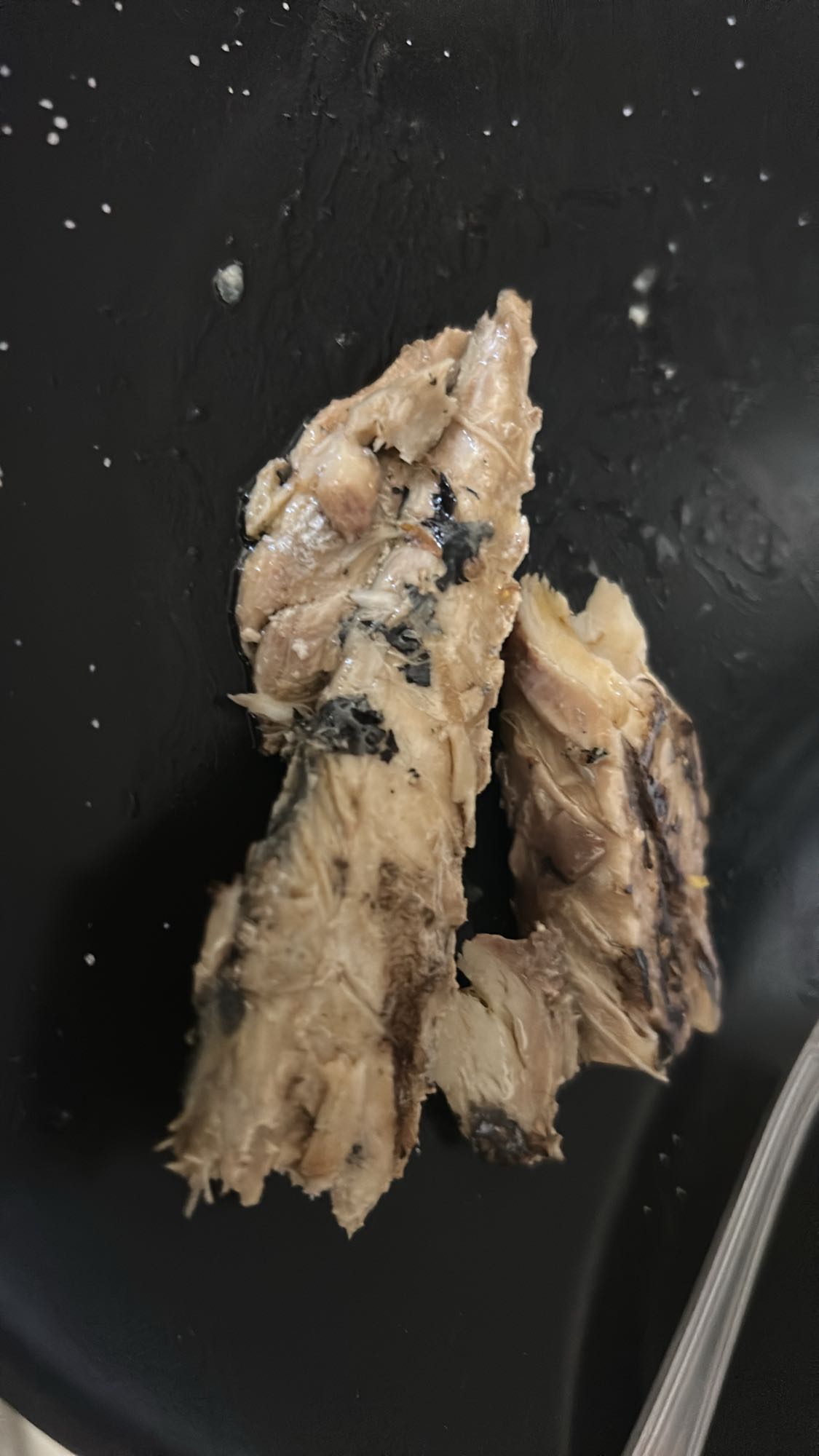 Filets de maquereau grillés nature