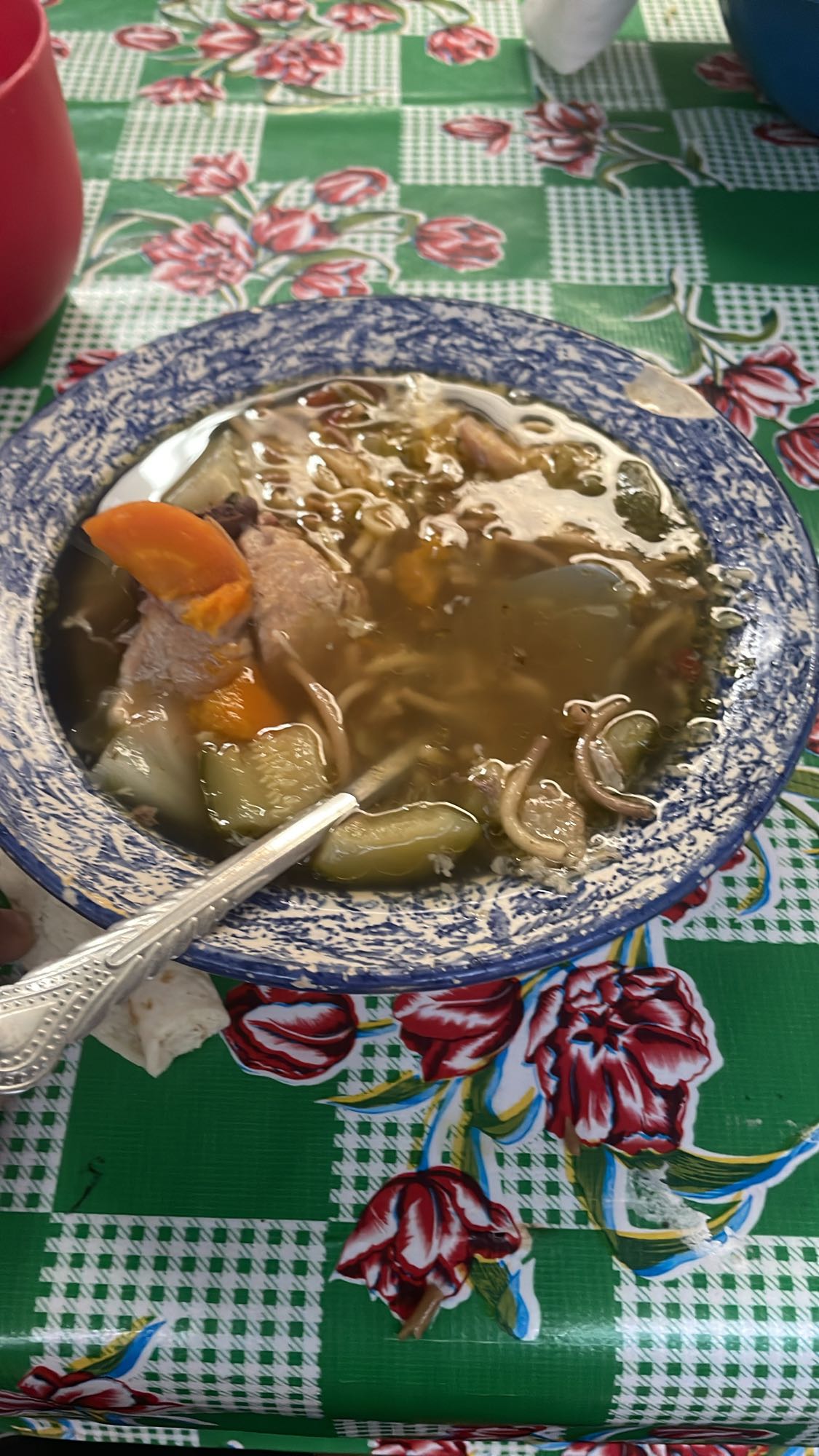sopa de fideos con carne