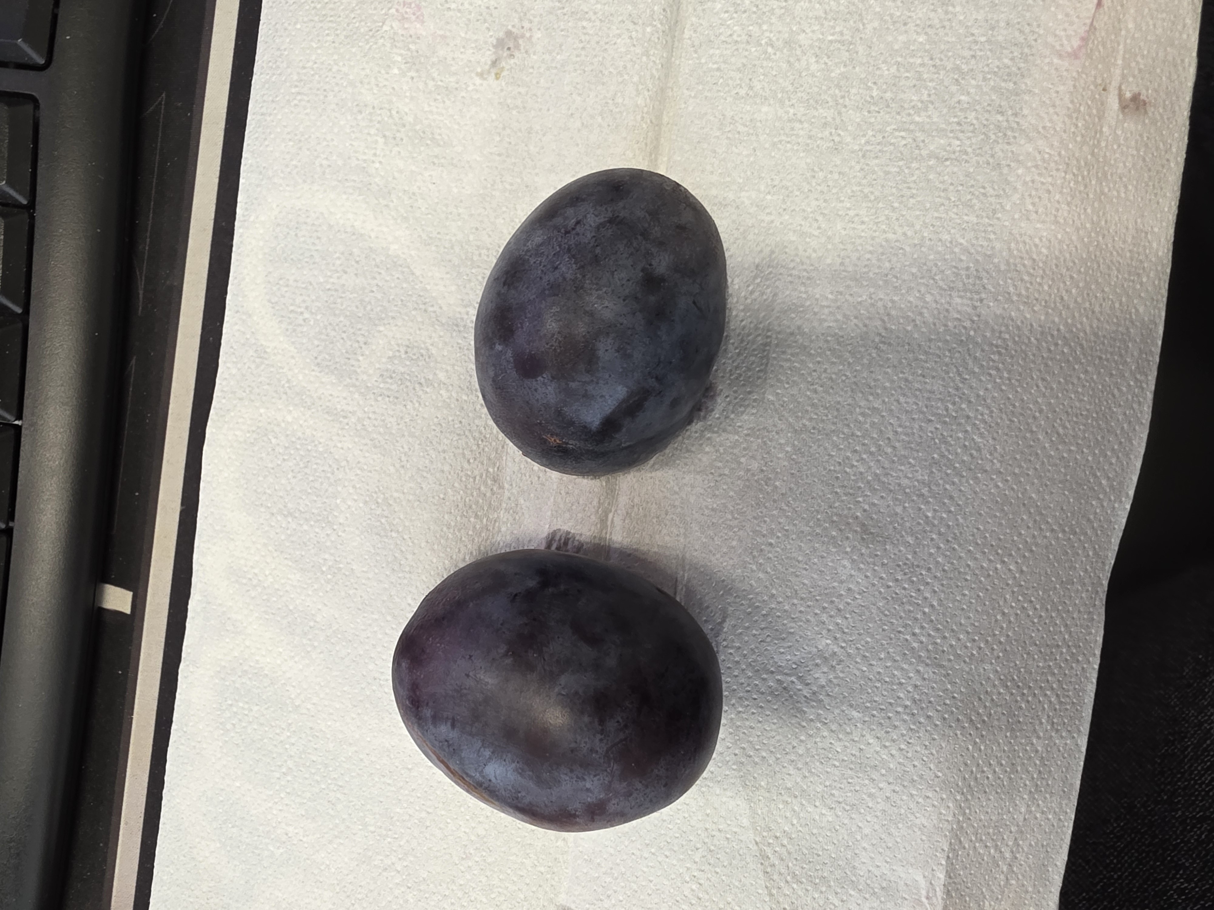 Dos ciruelas frescas