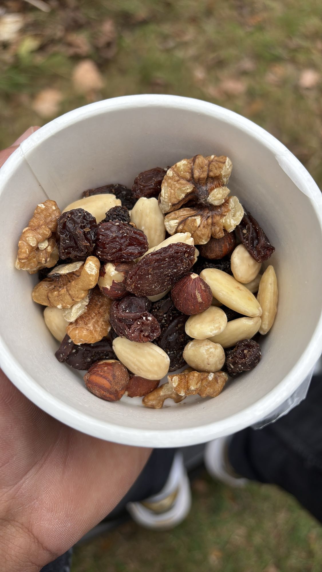 noten en rozijnen mix