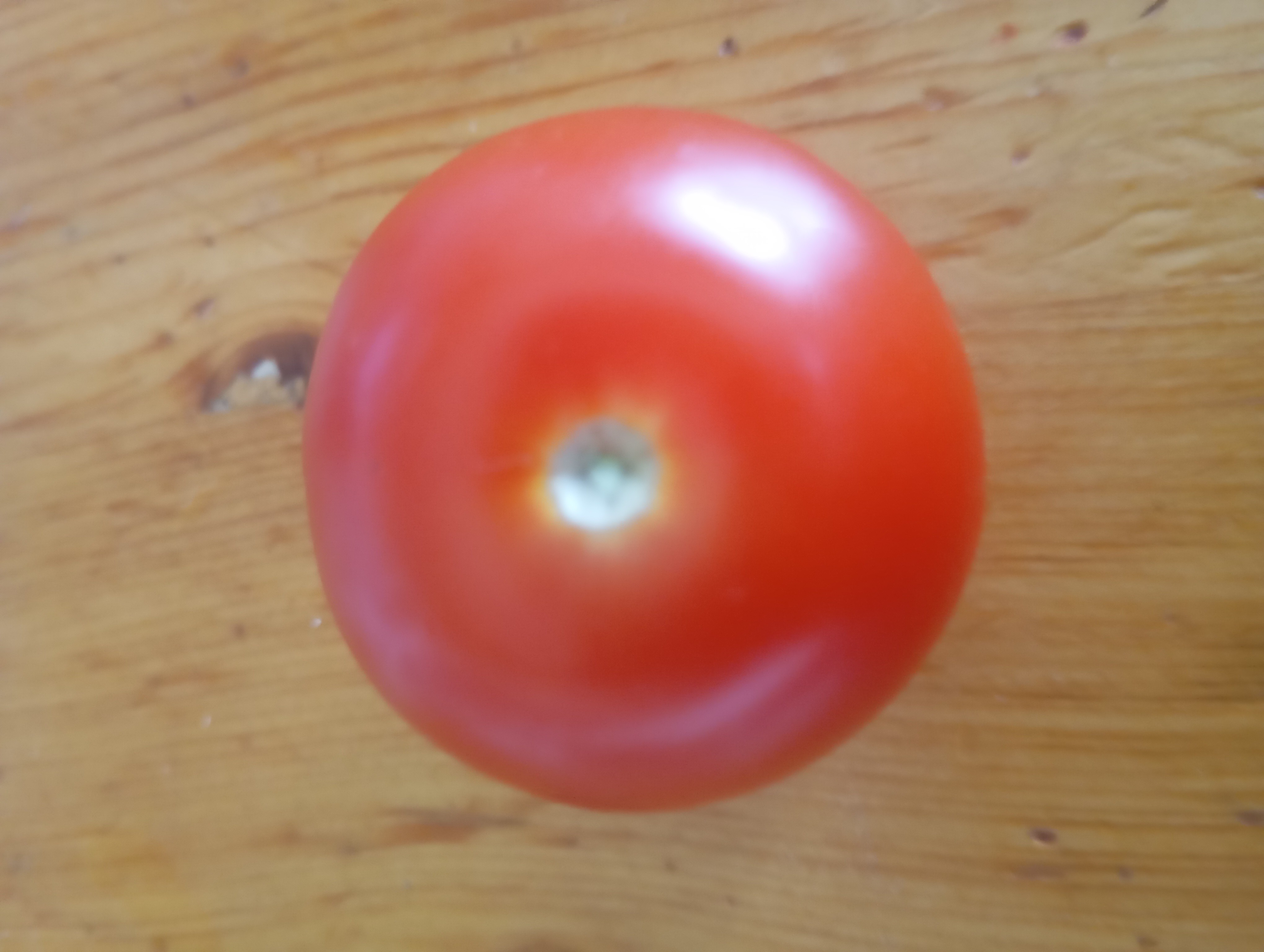 Tomate entero