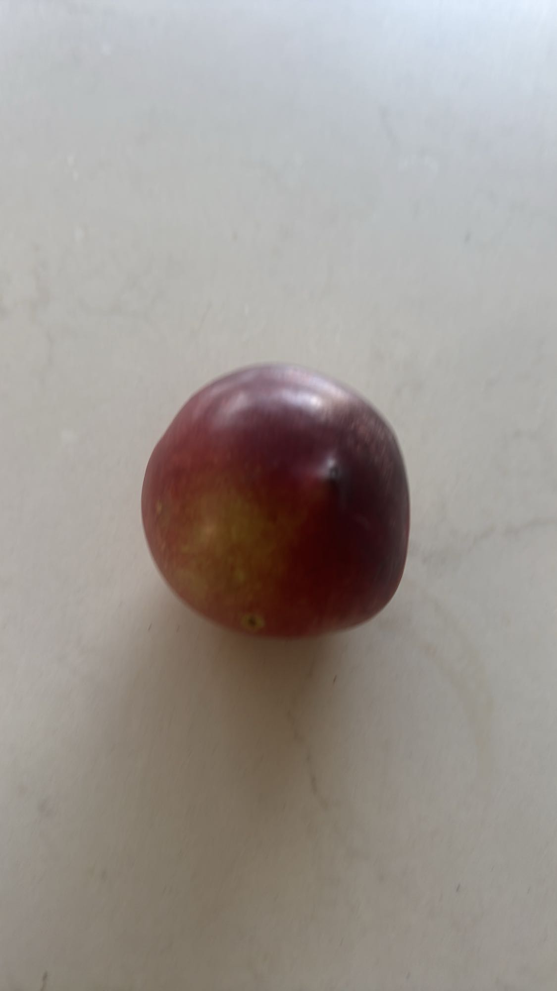 Single Red Grape