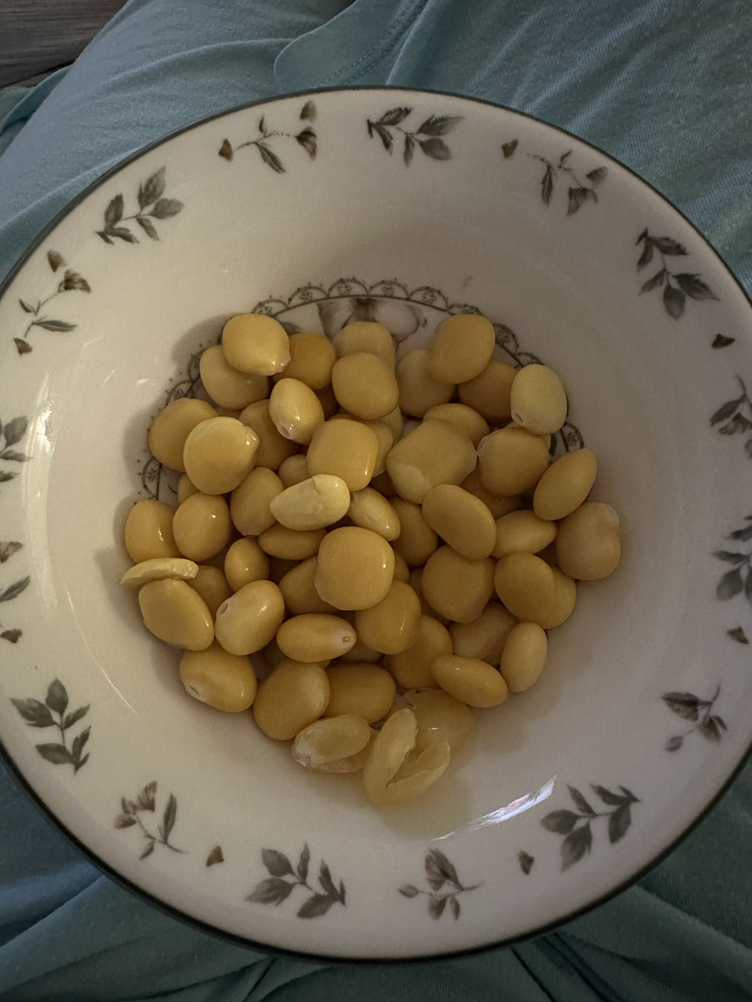 Boiled Lupini Beans
