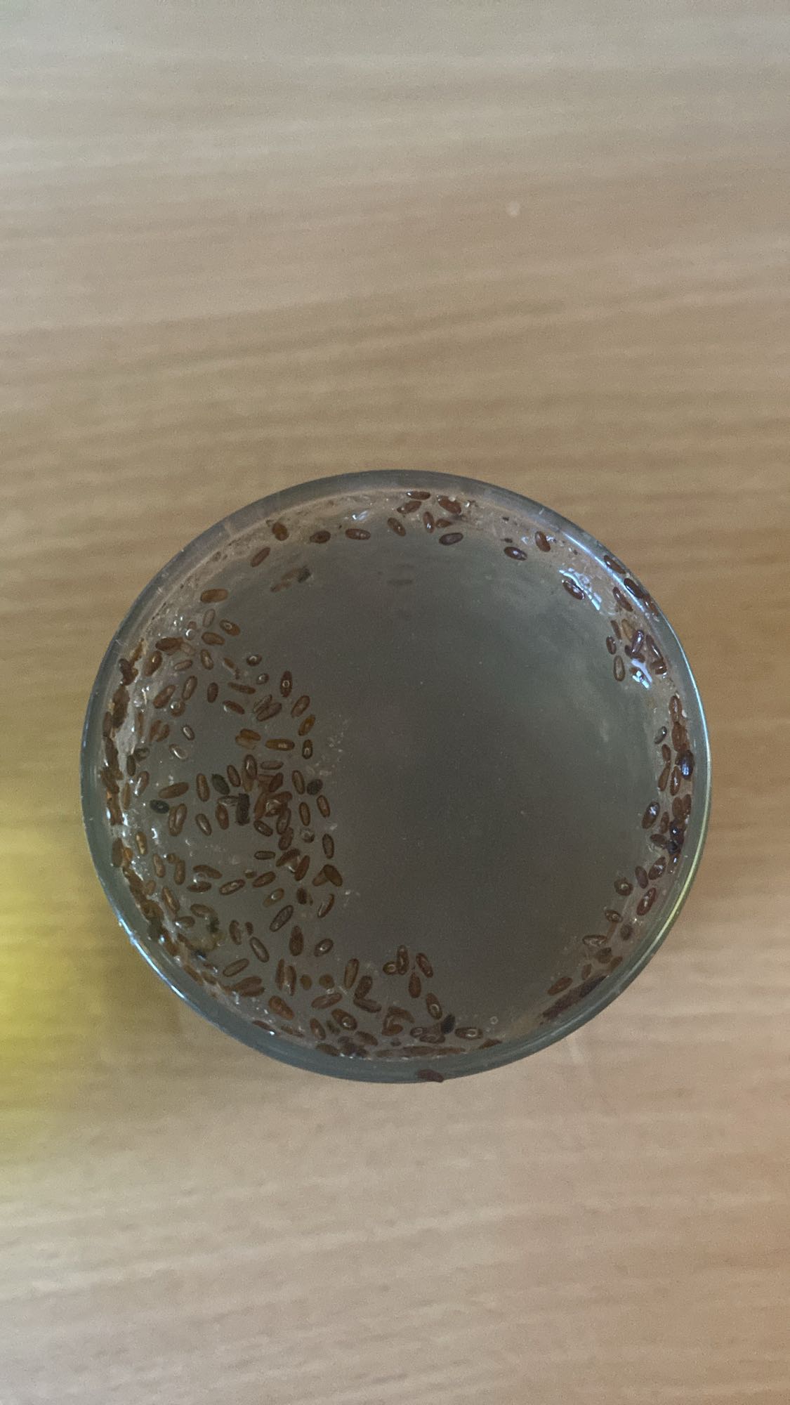 napój z nasionami bazylii