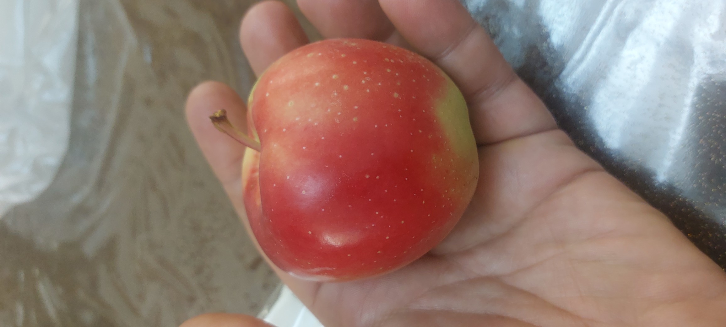 Small Apple Snack