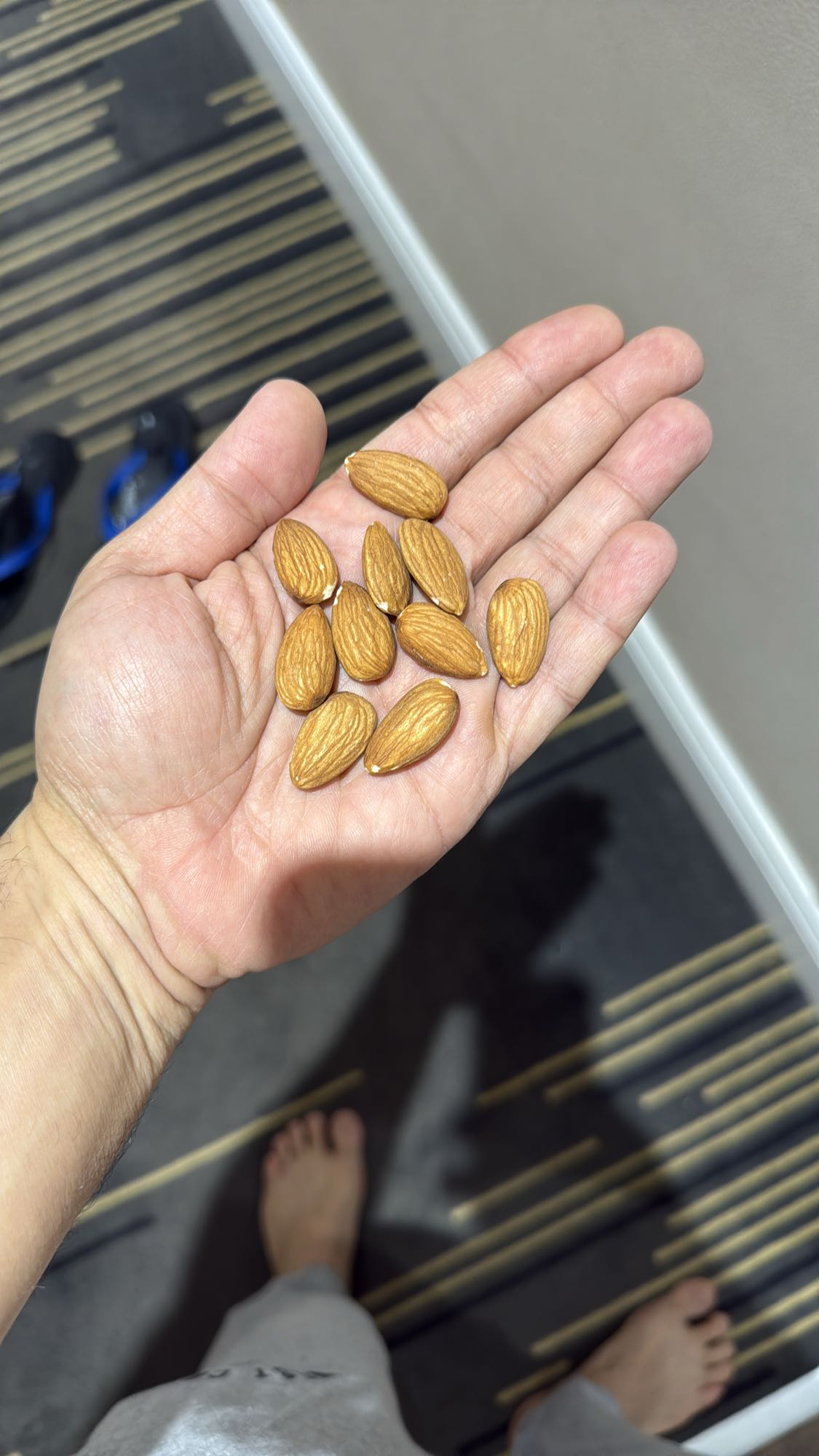 Handful of Almonds