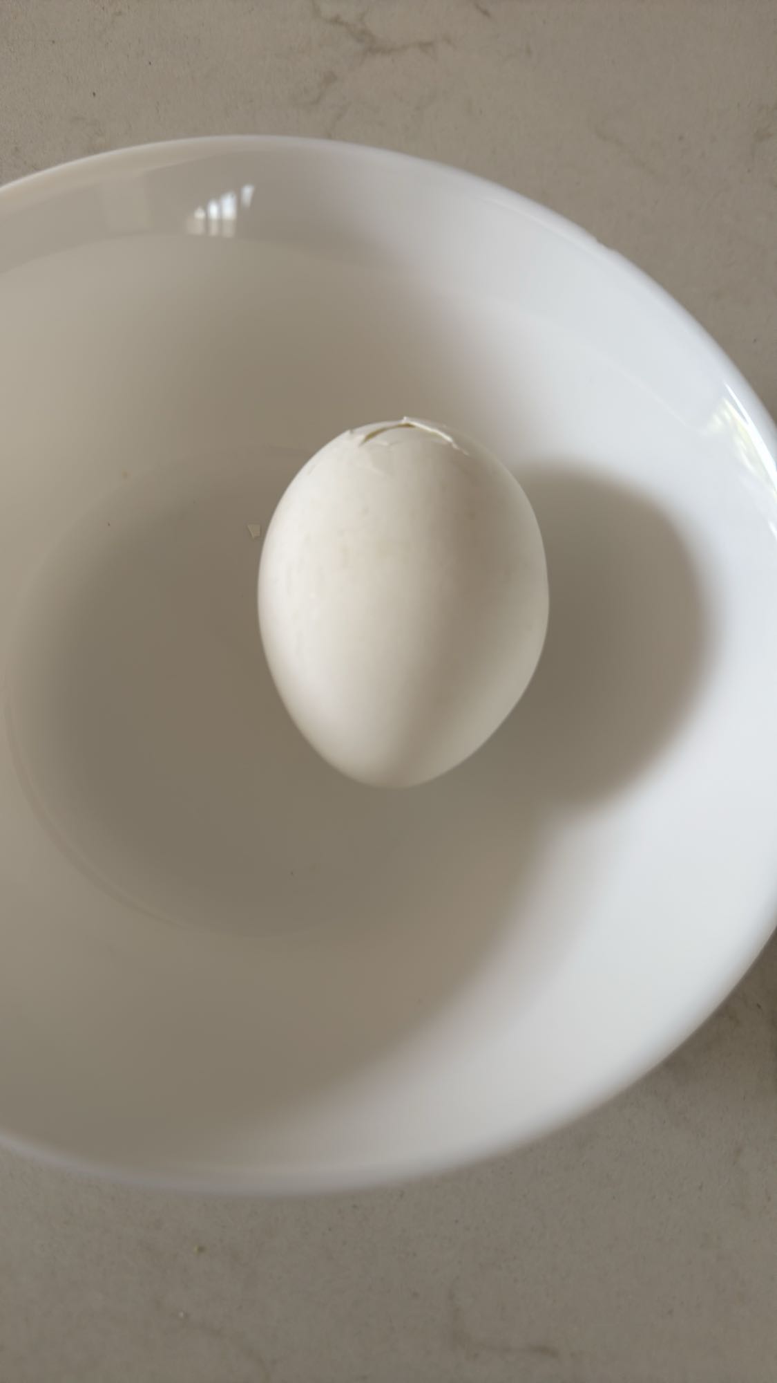 Boiled Egg