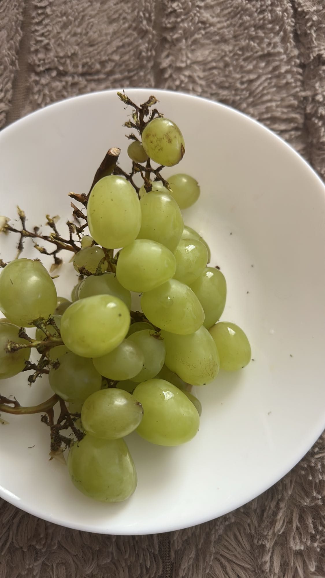 zielone winogrona