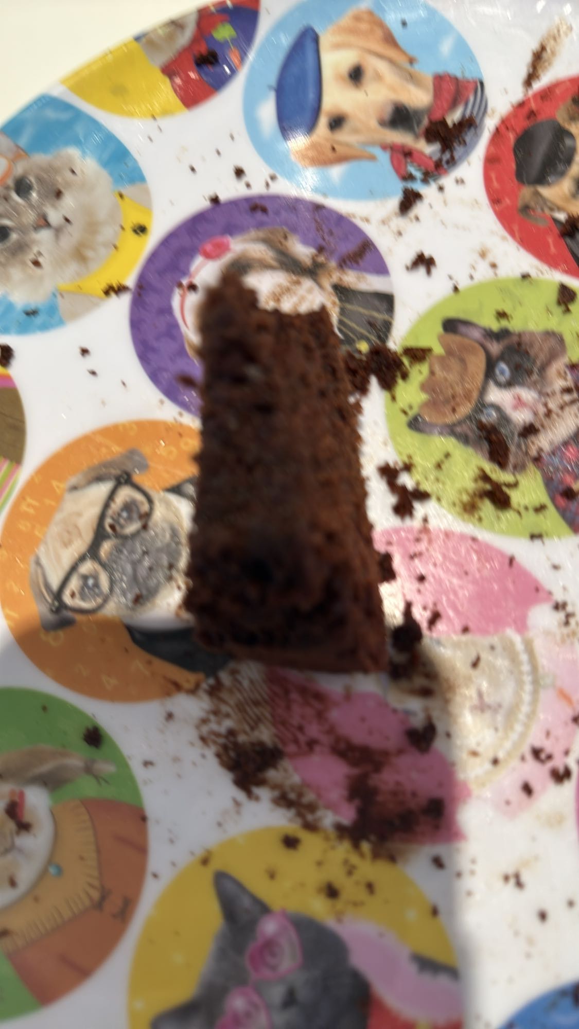 Part de gâteau chocolat