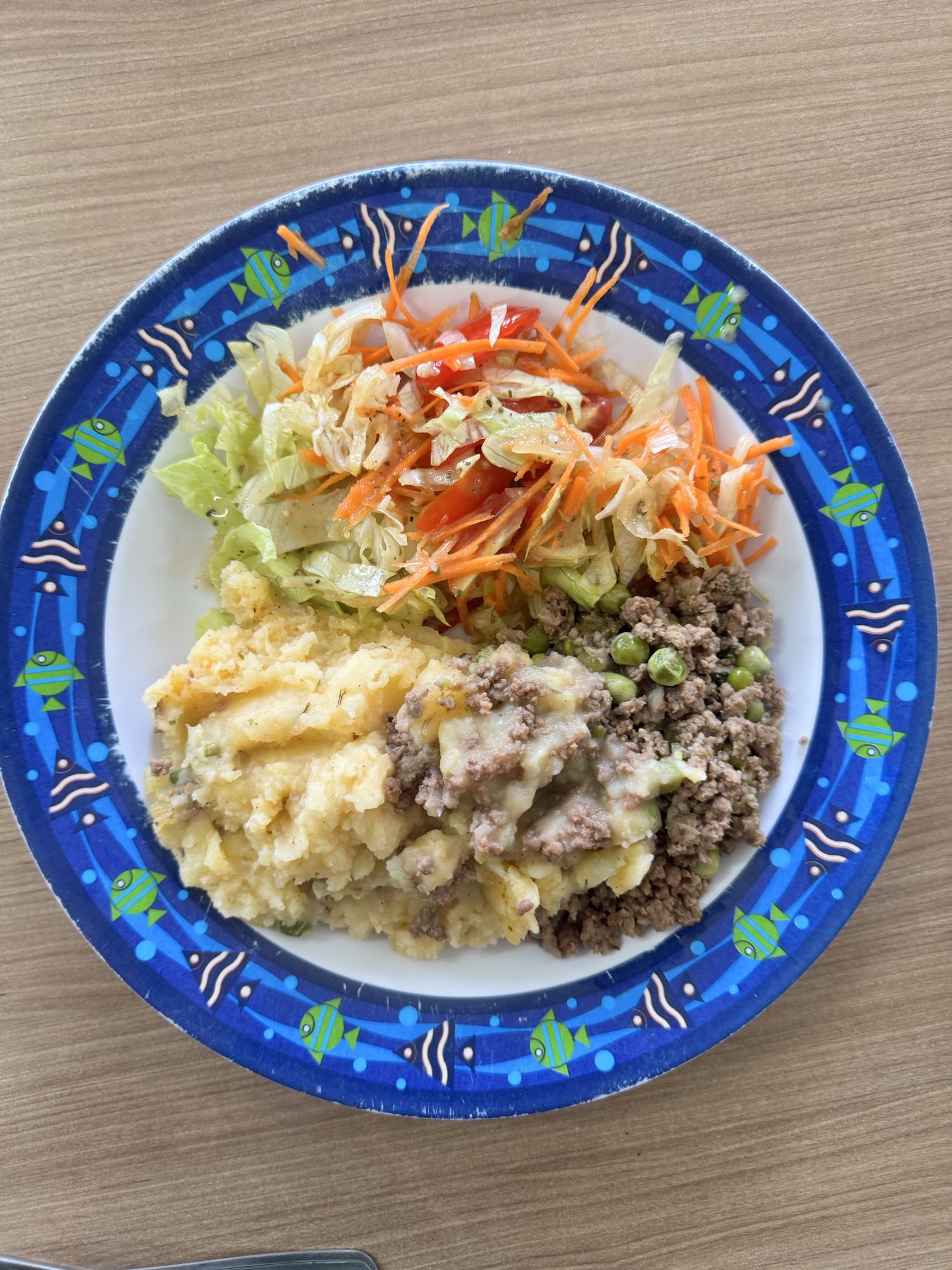 Carne moída, purê e salada