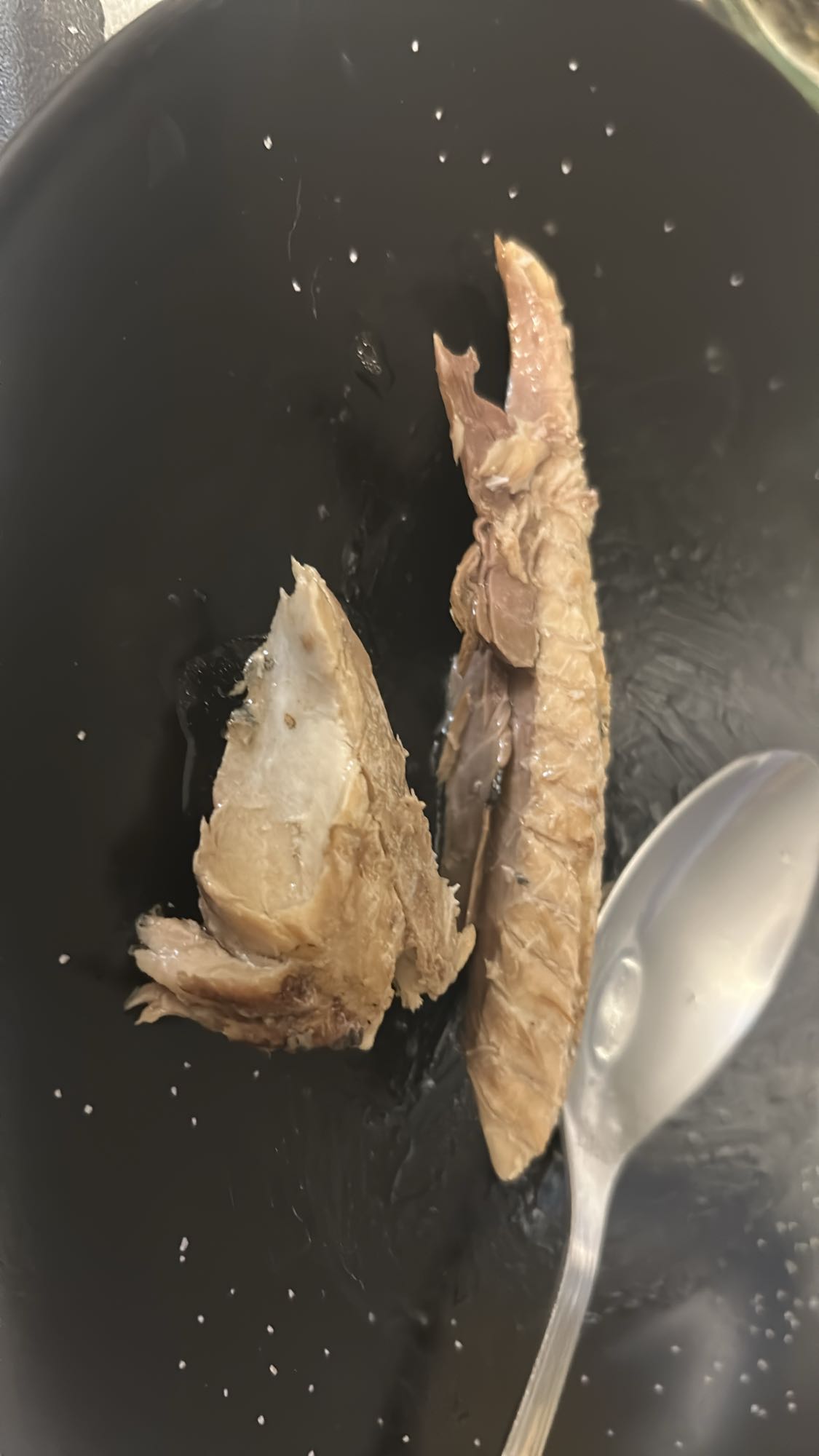 maquereau grillé nature