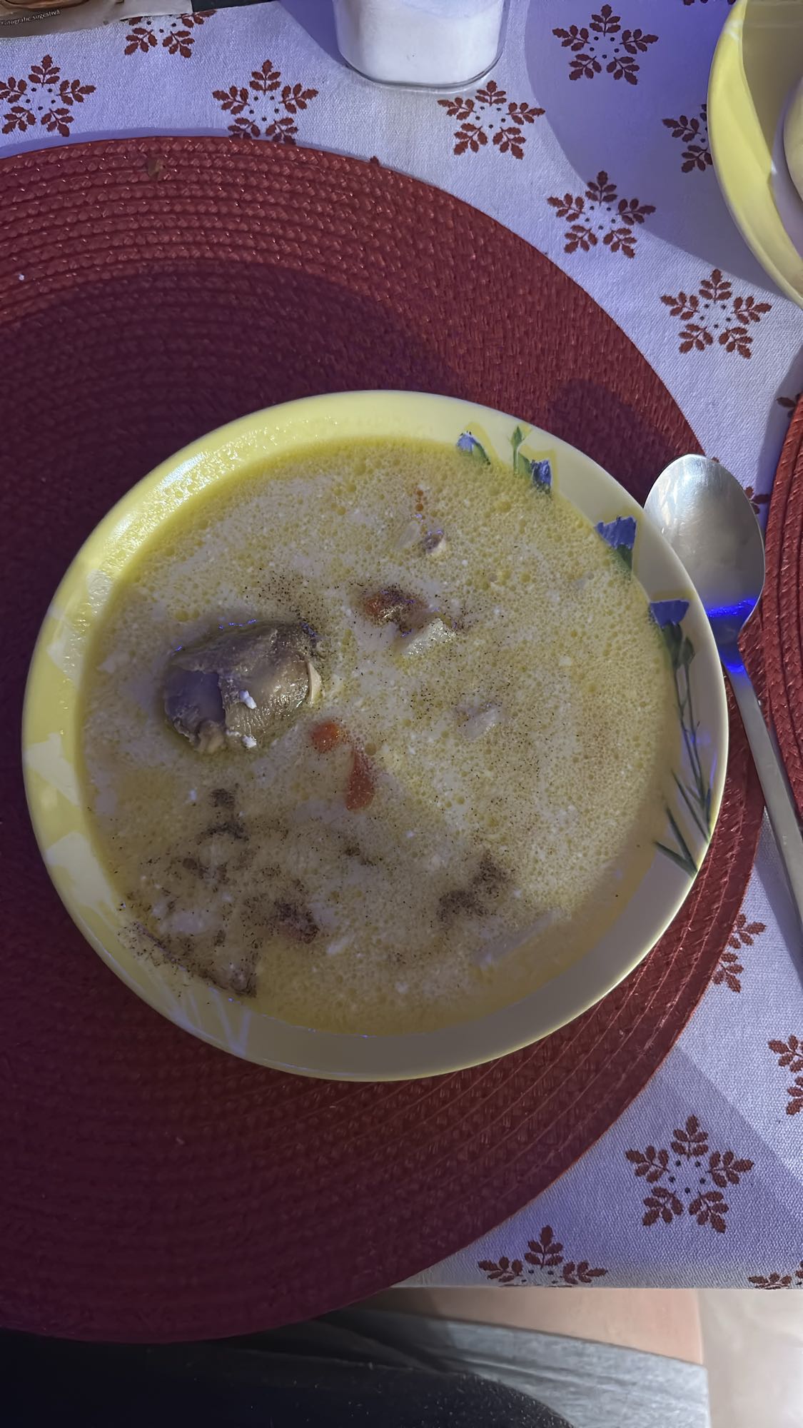 Ciorbă de pui cu smântână