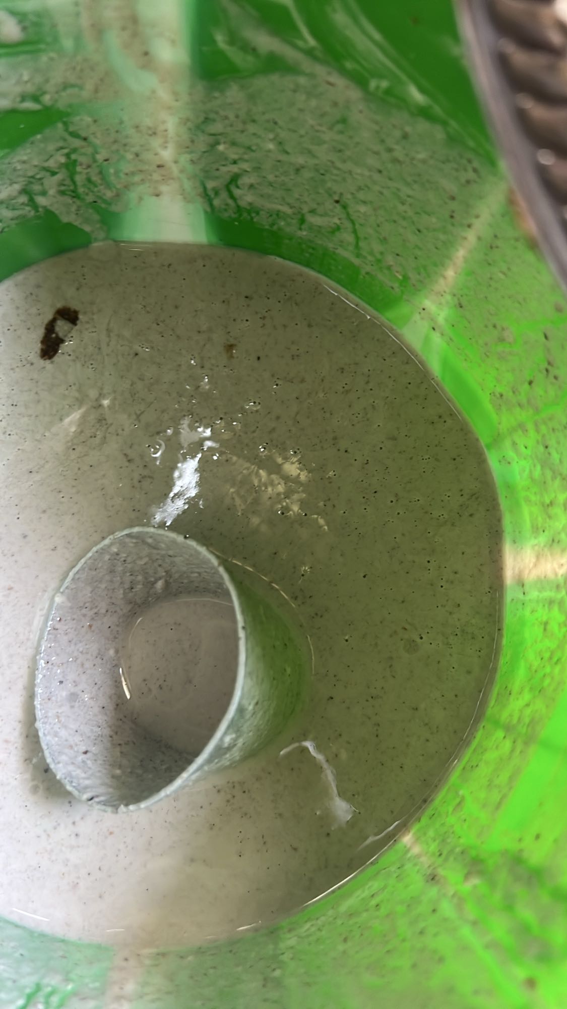 millet porridge batter