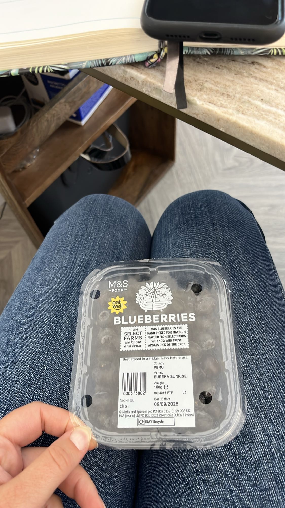 Blueberries Snack