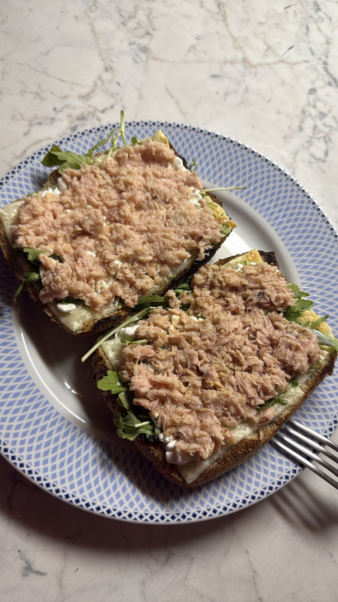 Tuna open-faced sandwich