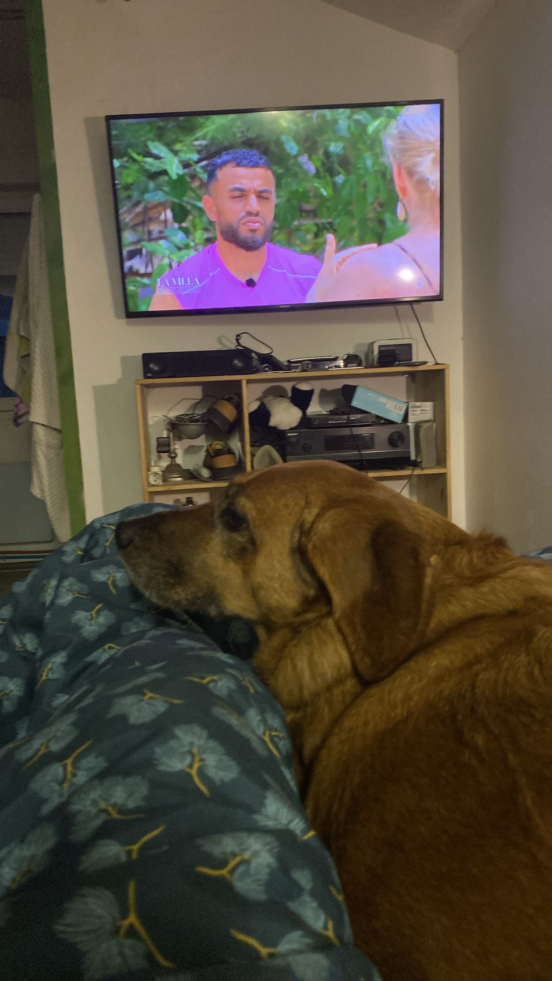 aucune nourriture visible