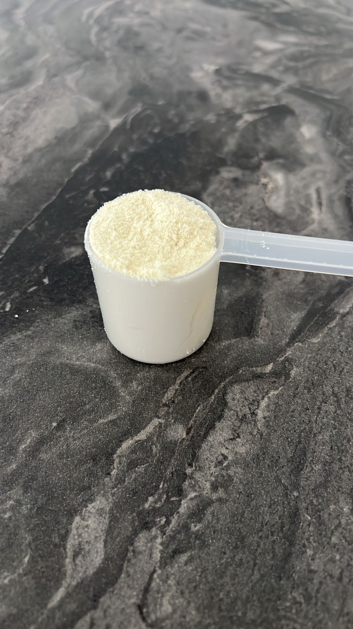 պրոտեին փոշի