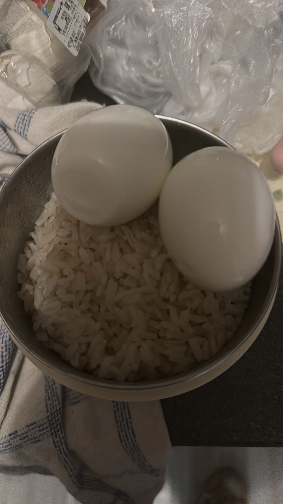 Nasi putih dan telur rebus