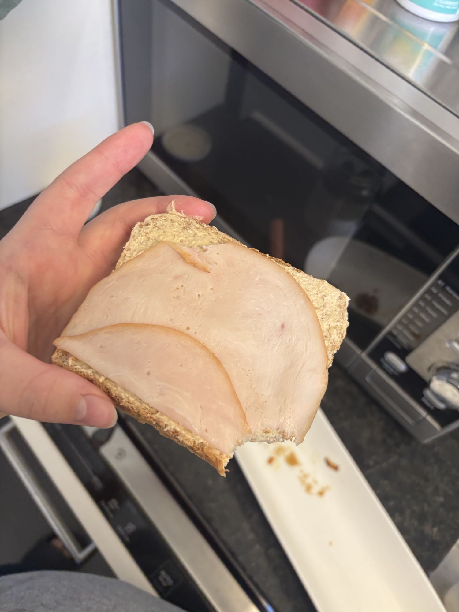 Turkey on whole grain bread