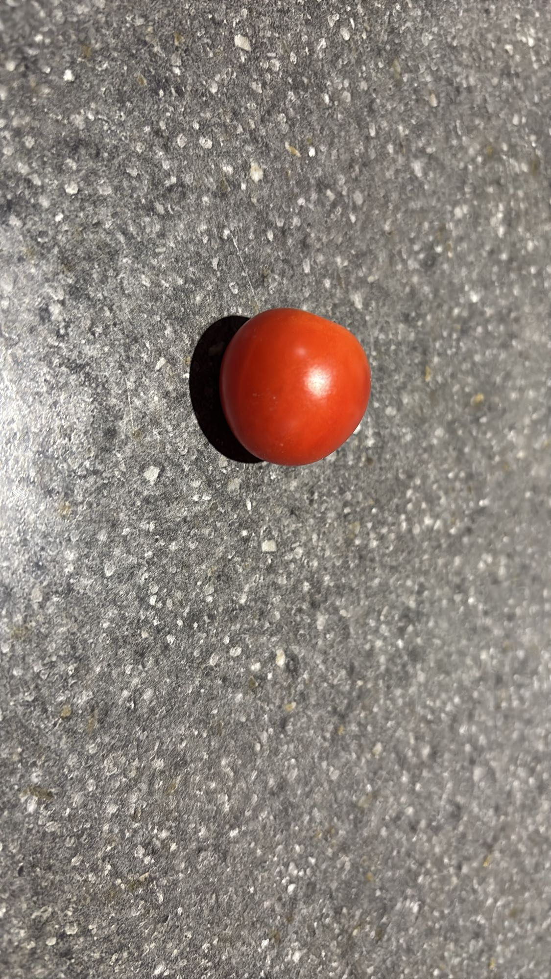 Tomate cerise
