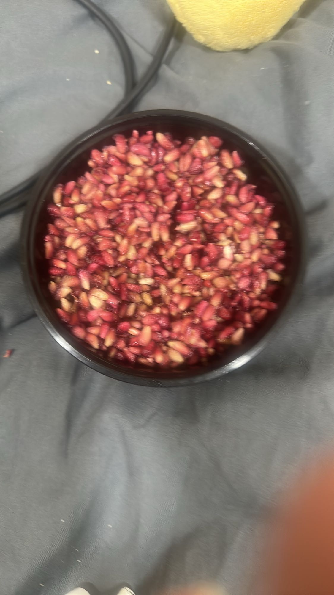 Pomegranate Bowl