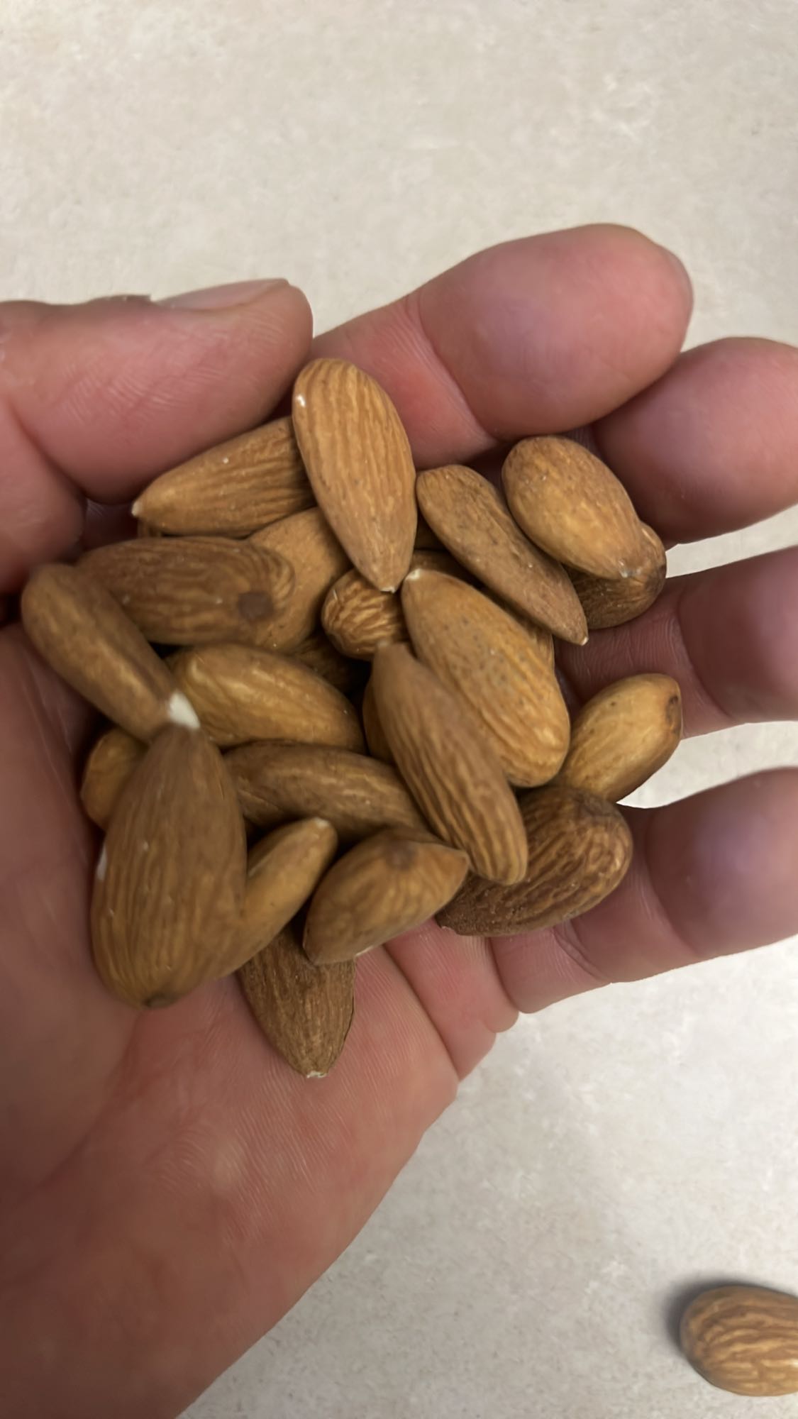 Handful of Almonds
