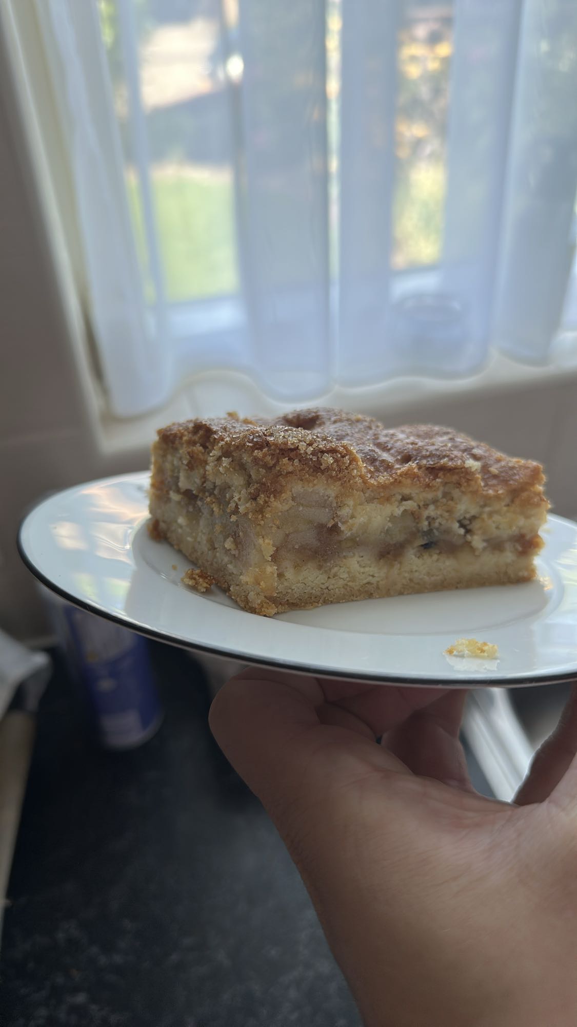 Apple Crumble Cake Slice