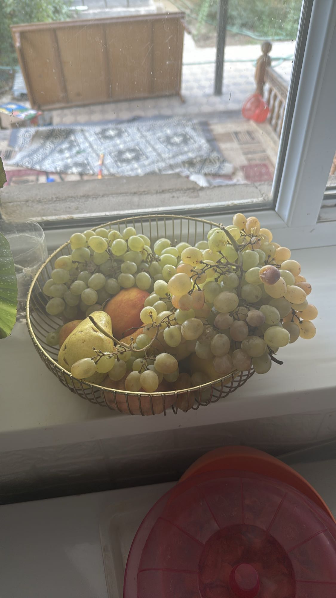 Фруктовая корзина