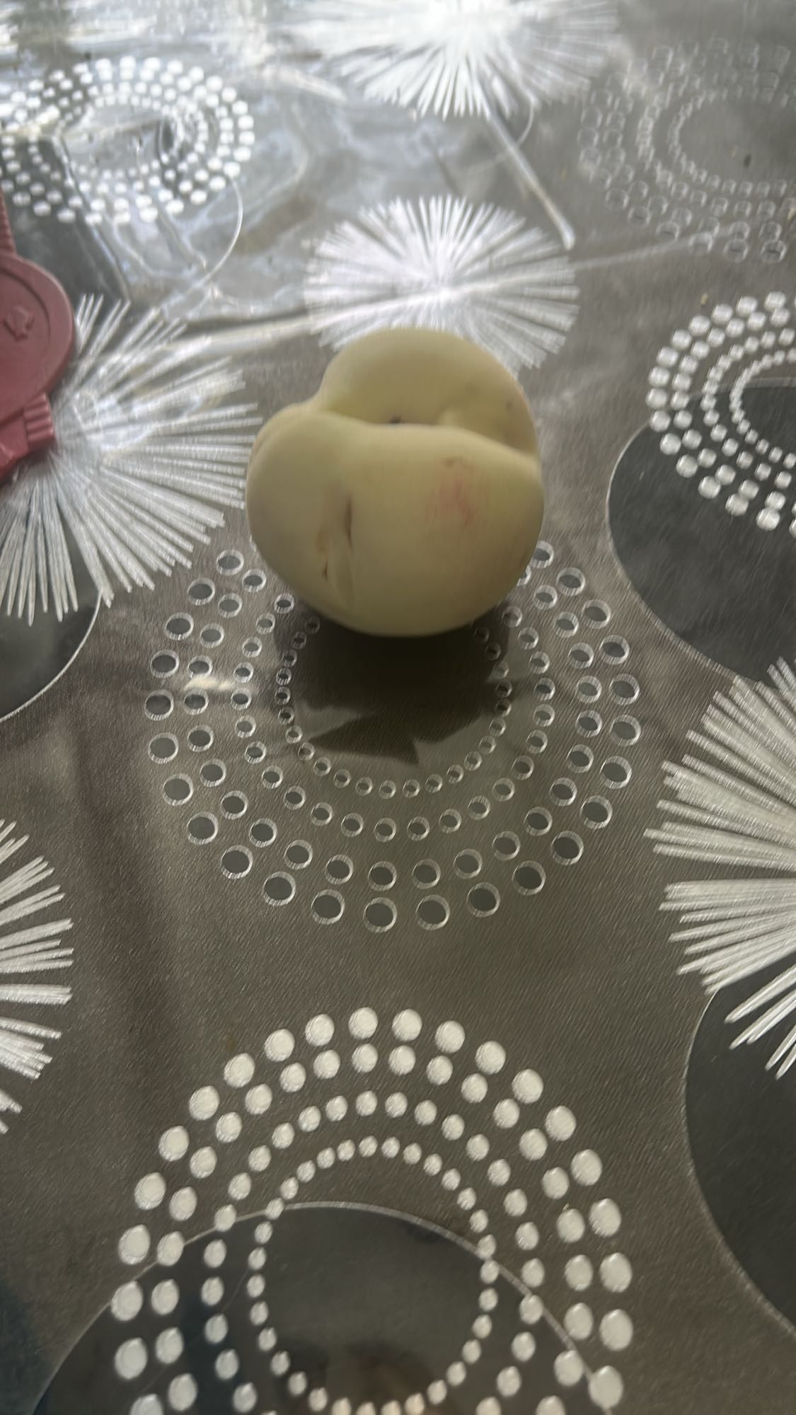 Pêche blanche entière