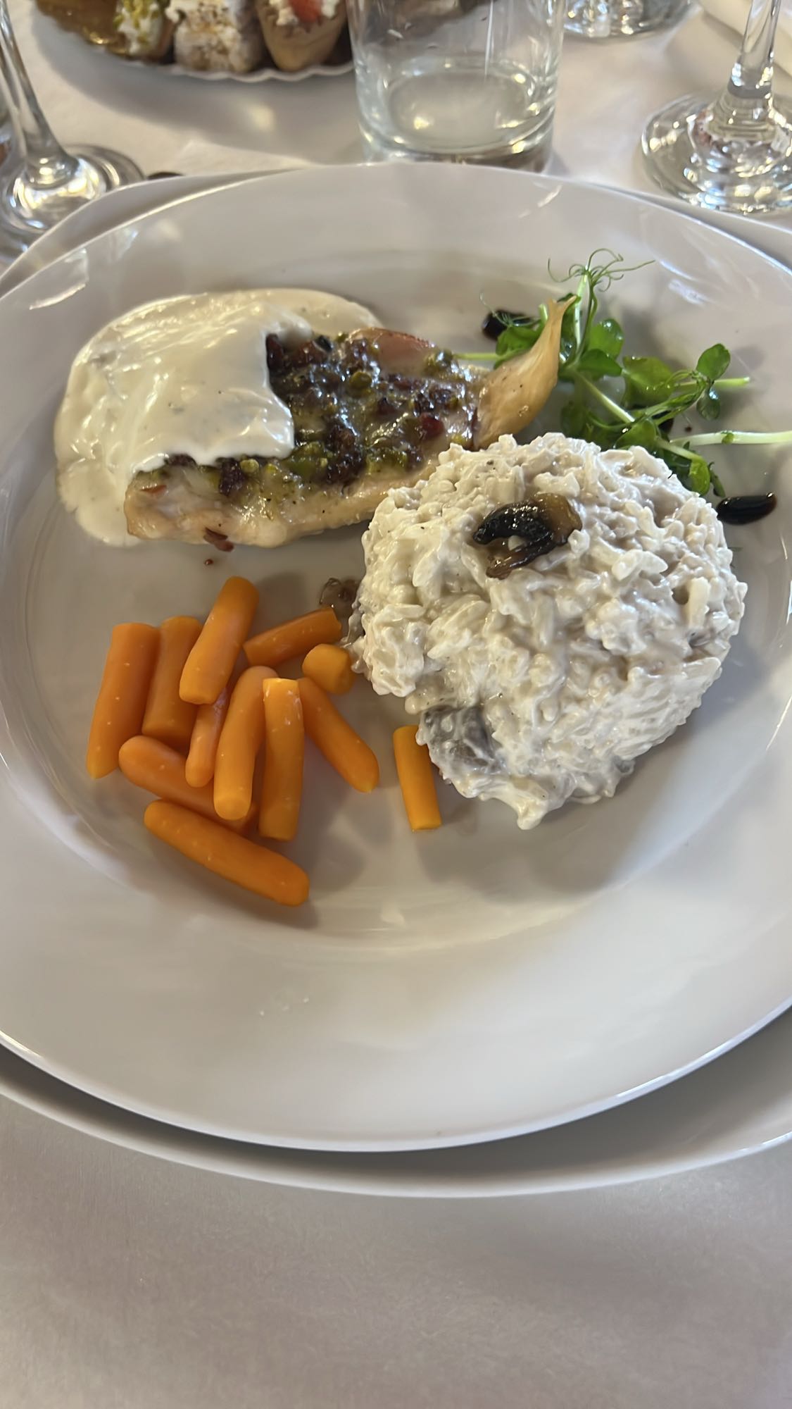 Piept de pui cu orez și morcovi